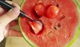 网红吃瓜大勺子视频,揭秘娱乐圈幕后真相