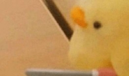 王校长吃瓜合集视频,揭秘校园风云背后的趣味故事