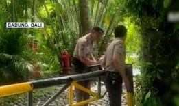 巴厘岛情侣吃瓜视频播放,甜蜜瞬间引网友热议