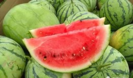 怎么快速看到吃瓜视频,轻松捕捉热门吃瓜视频