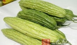 阿红吃凉瓜视频大全,视频大全带你领略夏日清凉美味