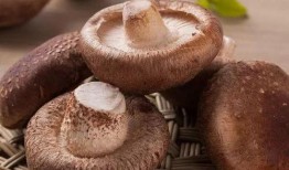 吃瓜网曝揭秘黑料蘑菇视频,蘑菇视频背后的惊人黑料