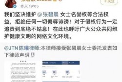 吃瓜爆料事件视频,视频事件背后的真相与争议