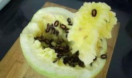 吃籽瓜搞笑视频,搞笑视频带你领略夏日清凉