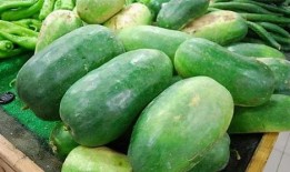 春天吃小凤瓜好吗视频,小凤瓜的美味与营养