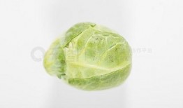 吃瓜视频素材下载,素材下载背后的故事