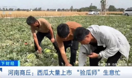 奉节教师 吃瓜事件视频,真相与误解的交织