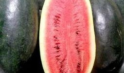 魔爪瓜怎么吃最好吃视频,视频教你如何吃出最佳口感