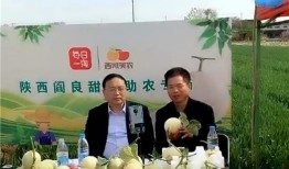 莒南吃瓜群众视频直播,带你领略乡村生活百态