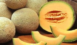 老板给我吃哈密瓜视频,甜蜜瞬间，温馨回忆