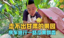 一路吃瓜的视频,揭秘娱乐圈幕后故事