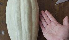 吃瓜有毒的视频大全,揭秘网络谣言背后的真相