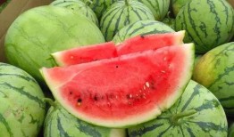 文安梅花七吃瓜视频在哪,热门话题背后的故事