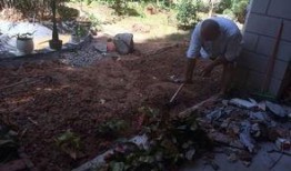 金山花园吃瓜事件视频,一场引发热议的邻里冲突视频揭秘