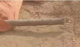 诸葛亮吃瓜视频