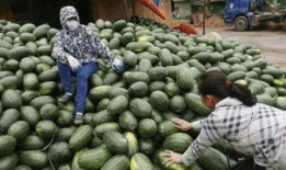 越南姑娘吃山头瓜视频,传统美食引发网友热议