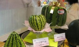 韩国人用勺子吃瓜视频,用勺子吃瓜，解锁夏日新食尚