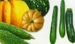 瓜瓜吃瓜完整讲课视频,揭秘网络热点背后的真相与启示