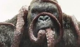 章鱼吃瓜视频在线观看,一场奇妙的海洋美食盛宴