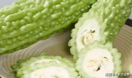 阿红吃凉瓜视频大全,视频大全带你领略夏日清凉美味