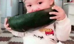 婴幼儿视频吃瓜,萌化人心的小可爱日常