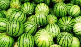 火娃吃瓜的视频在哪看,独家观看指南