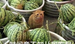 吃瓜网的视频从哪里来,独家幕后故事大公开