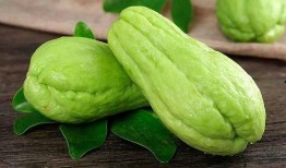 爬藤瓜怎么吃才好吃呢视频,视频教你如何烹饪出最佳口感