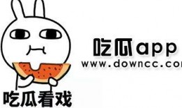 网红黑料视频网站吃瓜,吃瓜网站带你领略网络舆论风云