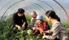 海门老太吃瓜事件视频大全,视频回顾与热议