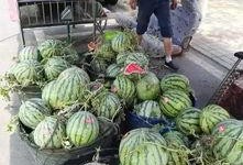 唐河吃瓜事件视频最新,真相揭秘，网络舆论的漩涡与反思