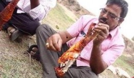 灭绝冰原吃瓜视频,揭秘灭绝冰原的神秘吃瓜时刻