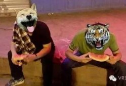 现实版吃瓜群众视频,揭秘网络围观背后的真相