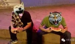 现实版吃瓜群众视频,揭秘网络围观背后的真相