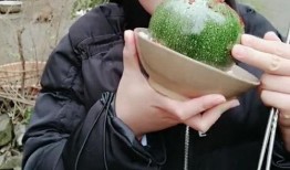 吃瓜小能手视频怎么拍,轻松拍出热门视频的秘诀