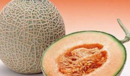 静静吃哈密瓜视频大全,视频大全回顾