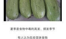 吃白瓜会得癌症吗视频播放,视频揭示食用白瓜的真相
